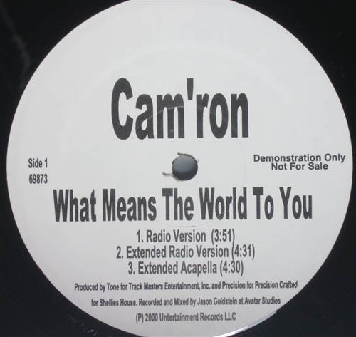 Cam'ron - What Means The World To You Remix (12", Promo)