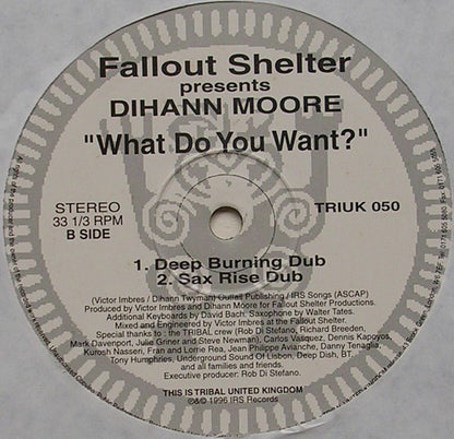 Fallout Shelter Presents Dihann Moore : What Do You Want? (12")