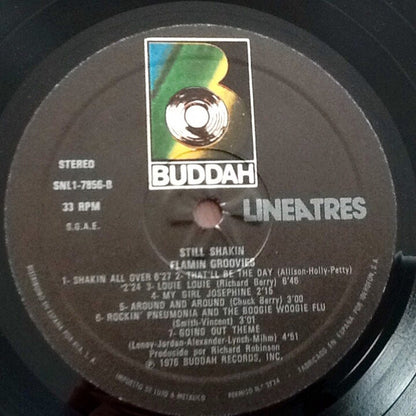 Flamin Groovies* : Still Shakin (LP, Comp, RE)