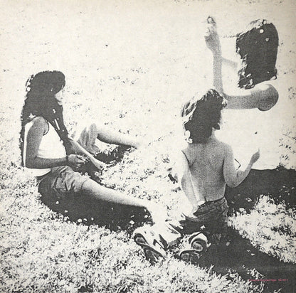 Cat Power : You Are Free (LP, Album)