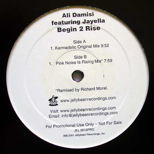 Ali Damisi Featuring Jayella : Begin 2 Rise (2x12", Promo)