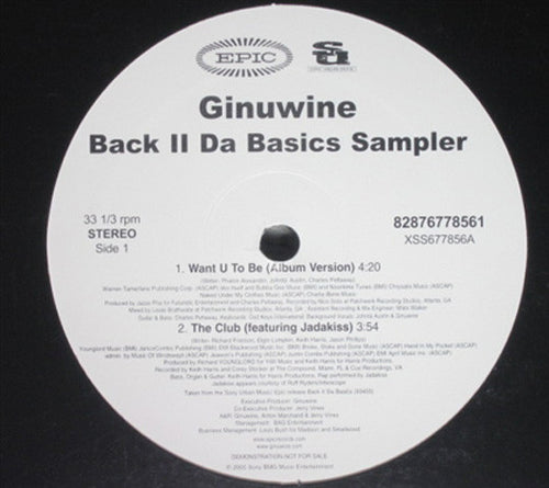 Ginuwine : Back II Da Basics Sampler (12", Promo, Smplr)