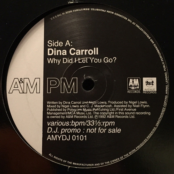 Dina Carroll : Why Did I Let You Go? / So Close (12", Promo)