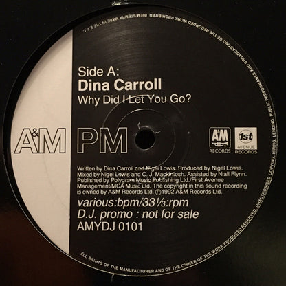 Dina Carroll : Why Did I Let You Go? / So Close (12", Promo)