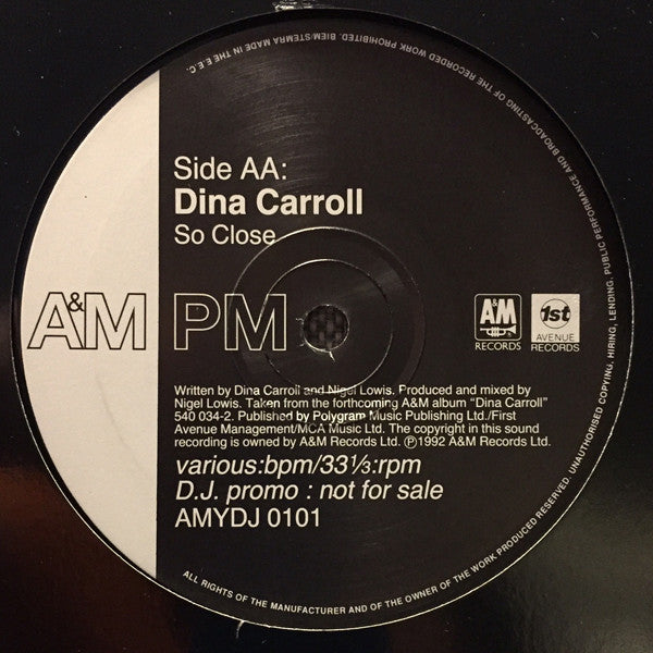 Dina Carroll : Why Did I Let You Go? / So Close (12", Promo)