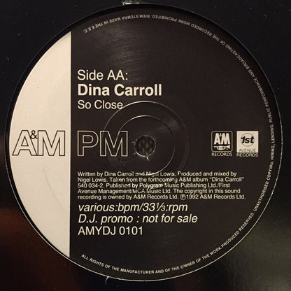 Dina Carroll : Why Did I Let You Go? / So Close (12", Promo)