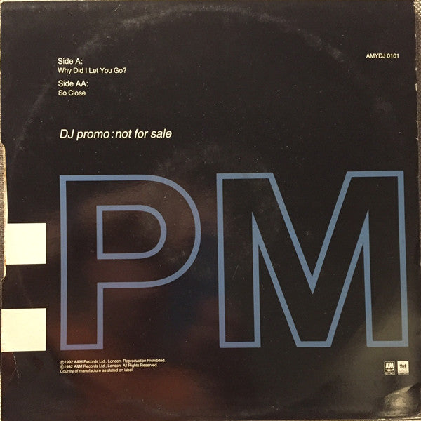 Dina Carroll : Why Did I Let You Go? / So Close (12", Promo)