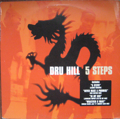 Dru Hill : 5 Steps (12", Single)