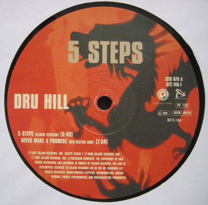 Dru Hill : 5 Steps (12", Single)