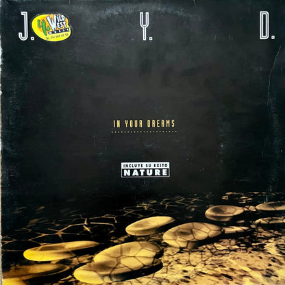 J.Y.D. - In Your Dreams (12")