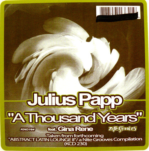 Julius Papp Feat. Gina Rene : A Thousand Years (12")