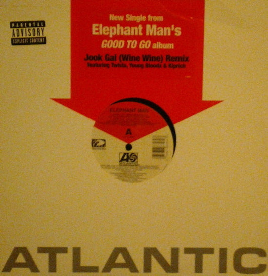 Elephant Man - Jook Gal (Wine Wine) (Remix) (12", Single)