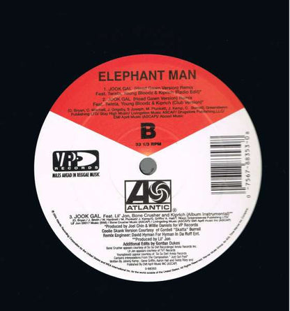 Elephant Man - Jook Gal (Wine Wine) (Remix) (12", Single)