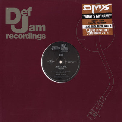 DMX : What's My Name (12", Single)
