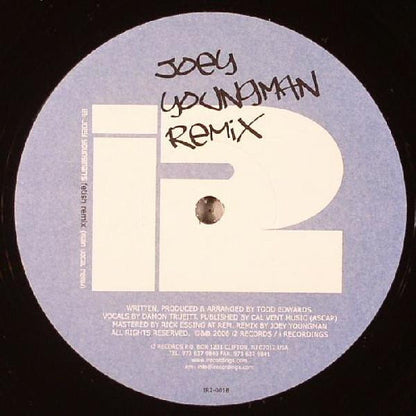 Damon Trueitt : Run It By Me (Joey Youngman Remix) (12")