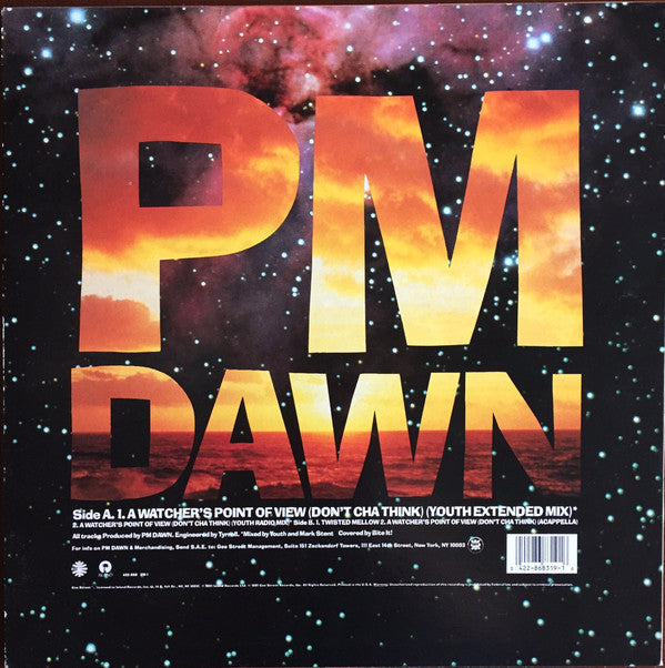 P.M. Dawn : A Watcher's Point Of View (Don't Cha Think) (12")