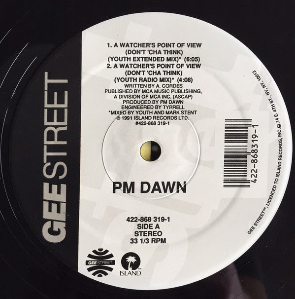 P.M. Dawn : A Watcher's Point Of View (Don't Cha Think) (12")