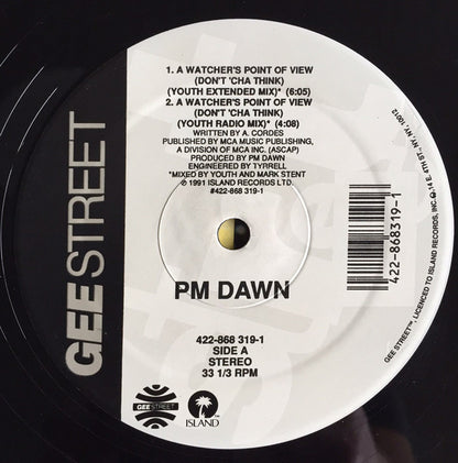 P.M. Dawn : A Watcher's Point Of View (Don't Cha Think) (12")
