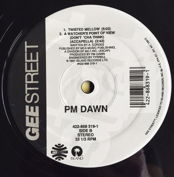 P.M. Dawn : A Watcher's Point Of View (Don't Cha Think) (12")