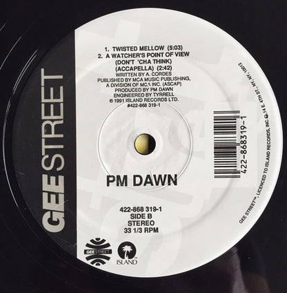 P.M. Dawn : A Watcher's Point Of View (Don't Cha Think) (12")