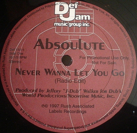 Absoulute - Never Wanna Let You Go (12", Promo)