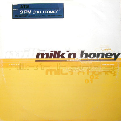 ATB - 9 PM (Till I Come) (12")
