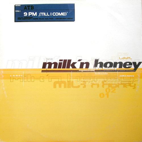 ATB - 9 PM (Till I Come) (12")