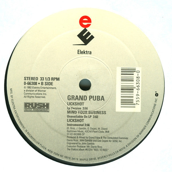 Grand Puba - Ya Know How It Goes / Lickshot (12")