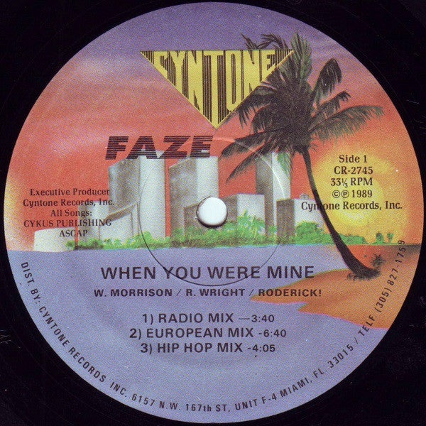 Faze (2) : When You Were Mine (12", Single)
