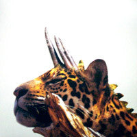 Various : Trip Do Brasil 2 - EP2 (12", EP)