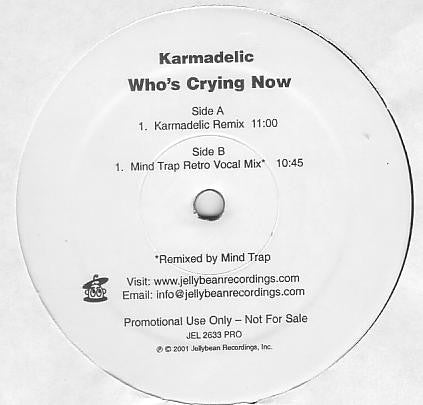 Karmadelic : Who's Crying Now (2x12", Promo)