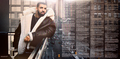 Drake - Views (2xLP, Album)